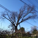 동월마을회관 이미지