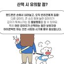 강아지 정보(산책코스) 62 이미지