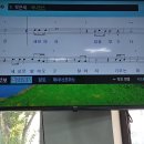 태진조명 Daum카페