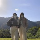 죽림원민박 | 전주완주 갤러리카페 / 한옥숙박 '아원고택'