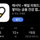 아바타;치 이미지