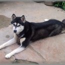 화정검도관 이미지