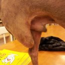 봉식농장 이미지