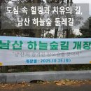 하늘숲 | [서울 걷기 좋은 길] 남산 하늘숲길 다녀온 솔직 후기