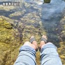 참새미골계곡쉼터캠핑장 | 강릉 오대산 계곡의 힐링 명소, 솔봉계곡쉼터 솔직 후기 🌿