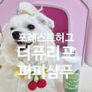 허그퍼피 | 포레스트허그 더 퓨리프 퍼피 샴푸