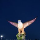 광장농장 이미지