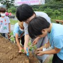 행복마을앞 이미지