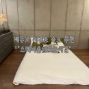 스테이숲이되는시간 | [제주도 서귀포 숙소 추천] 스테이 숲이 되는 시간