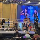 버팔로 복싱 이미지