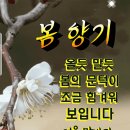 까까머리 스님도 아니고 파계승을 자처했던 걸레스님 중광 걸레라는 숨은 뜻은 더러운것을 깨끗히 닦아내고 자신도 닦아내라는 것이라네요 이미지