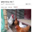 치갤러의 홈메이드 치킨.jpg 이미지