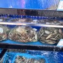 제철로 | 오이도 조개구이 맛집 제철맞은 조개포차 후기