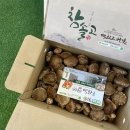 봄맞이 표고농장 이미지