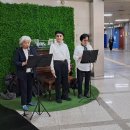 종로하모필 녹사평 깜짝공연 2025.5.2 이미지