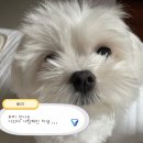 오동 농장 이미지