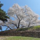 4월 9일(화요일) 출입제한지역 아차산성 탐방, 산행 ＜2＞ 이미지