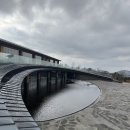 (주)대동기업 | 제주당 내돈내산 솔직후기｜새별오름 뷰맛집 대형 베이커리 카페(주차/자리 꿀팁+메뉴 정리)