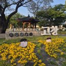 모양성편의점 | 고창 모양성 호텔 후기｜도보 15분 고창읍성 야간 산책까지 완벽했던 뚜벅이 여행