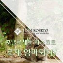 모텔로제 이미지