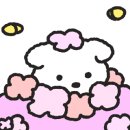 최세미산부인과의원 이미지