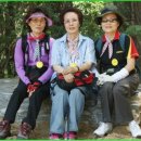 건강 댄스&요가 이미지