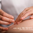 경희해바라기한의원 네이버블로그