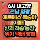 고향농장 | 6시내고향 전남 영광 에르메스 복숭아재배 산지 직송 농장 어디?(+위치 택배주문방법)