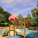 도음산 산림문화수련장 | 포항 야외 물놀이장 개장 도음산 산림문화수련장 물놀이