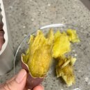 황토참좋은어린이집 | [겨울 간식 추천] 해남 황토 꿀고구마 맛집, 태기네농장 후기!(에어프라이어 간식) 🍠