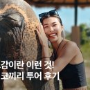 코끼리자동차정비센타 이미지