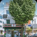 펜드로잉+어반스케치 중급 이미지