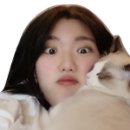 이룸헤어(Erum)