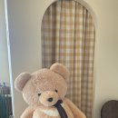 솔티위티 | 청주 위티프렌즈 휘낭시에 바스크치즈케이크가 맛있는 시내 데이트 카페