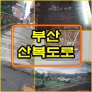 7월3일 부산 산복도로와 이바구길 트레킹 이미지