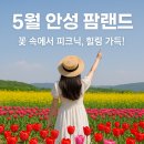 풍각터미널 | 5월 안성 팜랜드 꽃구경 후기! 초여름 피크닉에 딱 좋은 감성 코스