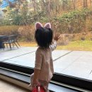 서이