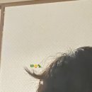 정우바이오