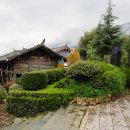중국 윈난성 리장 옥수채/동파만신원 이미지