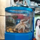 전포2동-9 이미지