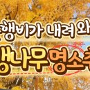 (주)여행과나무 이미지