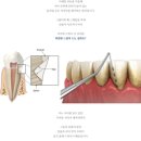 고운가이드치과병원 | 변사장 됐고요, 사장 흉내 내는 중입니다. (ft.치과 포트폴리오)