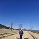 초록숲 하우스 이미지