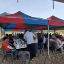 밀양고등학교 이미지