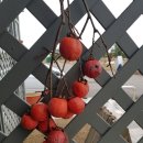 천지약국 이미지