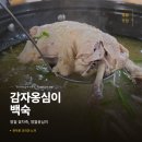 영월에서 | 영월 백숙 맛집 '꽃차죽, 영월옹심이' - 감자옹심이 백숙 후기