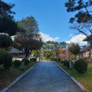 동헌 | 울산 여행 가볼만한 곳 울산시립미술관 옆에 있는 울산동헌 및 내아 솔직한 방문후기