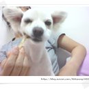 르미 이미지