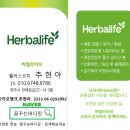 여주-0381 네이버블로그