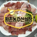 안양 농수산물시장에서 11월 제철 대방어회와 신선한 홍가리비